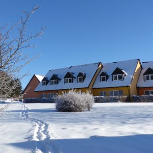 FH Winter